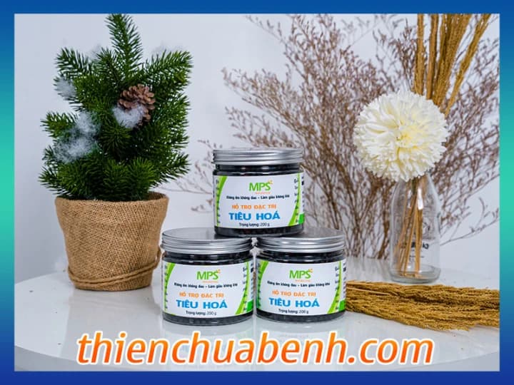 Hỗ trợ tiêu hóa - Đặc trị tiêu hóa Đại Bi Tâm
