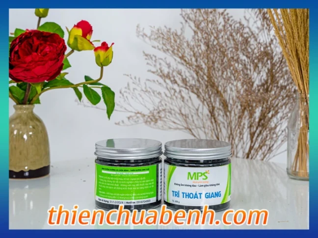 Hỗ trợ điều trị các bệnh về tiêu hóa