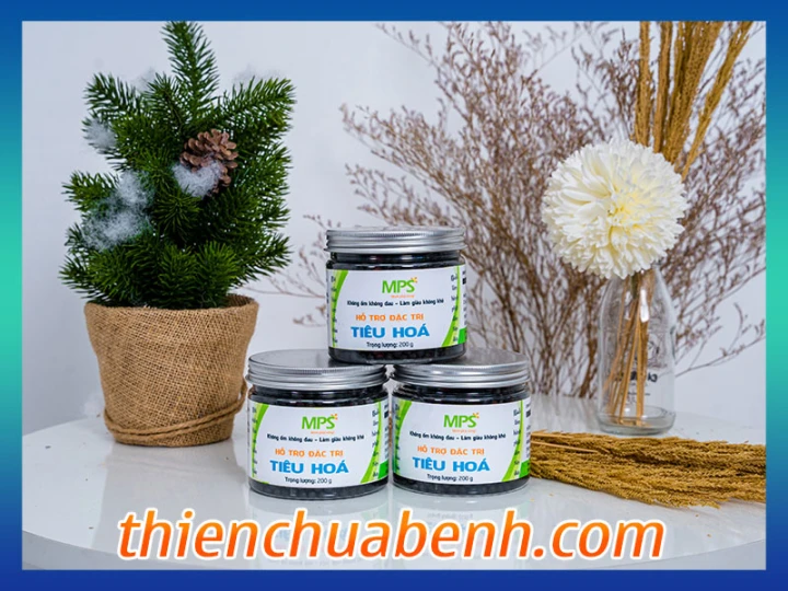 Hỗ trợ tiêu hóa - Đặc trị tiêu hóa Đại Bi Tâm